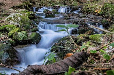 Ormandaki su akıntısı, Küçük Fatra, dağlar, Slovakya Cumhuriyeti. Yürüyüş teması. Mevsimsel doğal sahne.