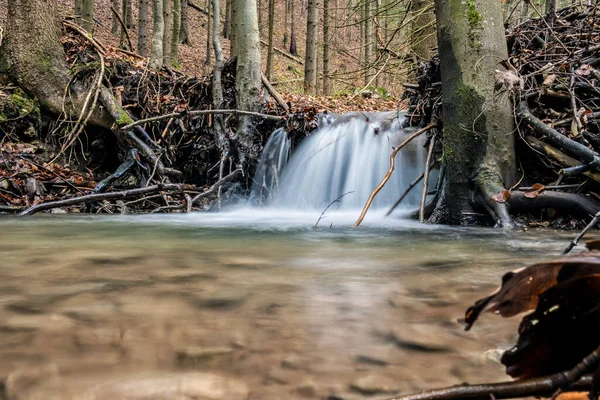Fluxo Água Floresta Little Fatra Montanhas República Eslovaca Tema Das — Fotografia de Stock