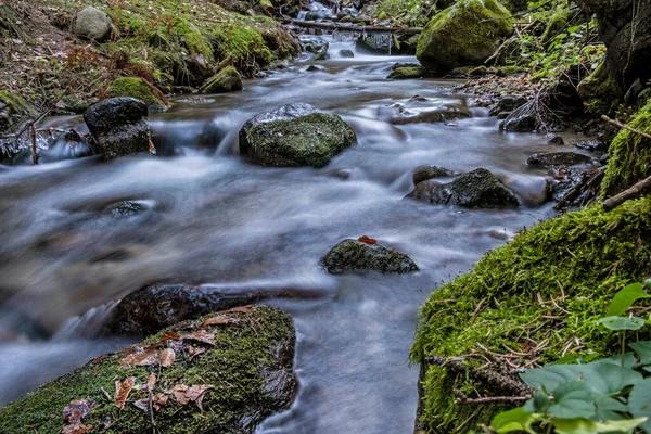 Fluxo Água Com Icicles Floresta Little Fatra Montanhas República Eslovaca — Fotografia de Stock