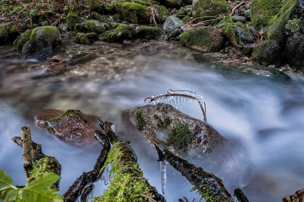 Fluxo Água Com Icicles Floresta Little Fatra Montanhas República Eslovaca — Fotografia de Stock