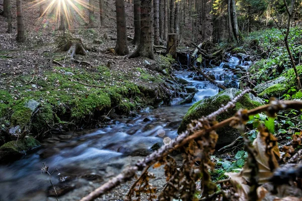 Fluxo Água Com Icicles Sol Floresta Little Fatra Montanhas República — Fotografia de Stock