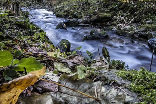 Fluxo Água Floresta Little Fatra Montanhas República Eslovaca Tema Das — Fotografia de Stock