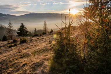 Günbatımı sahnesi, Helpa Köyü, Slovak Cumhuriyeti. Mevsimsel doğal sahne.