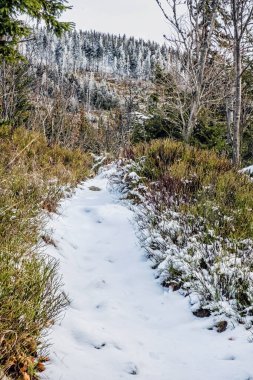 Low Tatras dağlarındaki patika, Slovakya Cumhuriyeti. Doğal kış sahnesi. Yürüyüş teması.