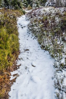 Low Tatras dağlarındaki patika, Slovakya Cumhuriyeti. Doğal kış sahnesi. Yürüyüş teması.