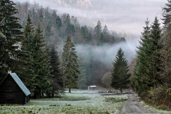 Scena Jesienna Mglistym Lesie Góry Wielka Fatra Republika Słowacka Piękno — Zdjęcie stockowe