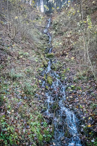 水の流れと秋のシーンは ビッグファトラ山脈 スロバキア共和国 ハイキングのテーマ 四季折々の自然 — ストック写真