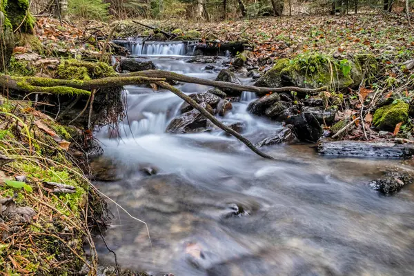 Vodní Tok Lese Nízké Tatry Hory Slovenská Republika Turistický Motiv — Stock fotografie
