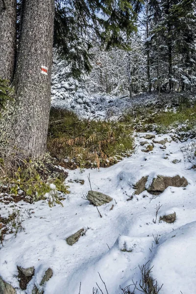 Passo Passo Nas Montanhas Low Tatras República Eslovaca Cena Inverno — Fotografia de Stock