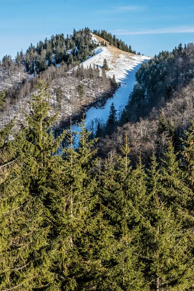 Sopron Heuvel Big Fatra Bergen Slowakije Sneeuwlandschap Seizoensgebonden Natuur Reisbestemming — Stockfoto