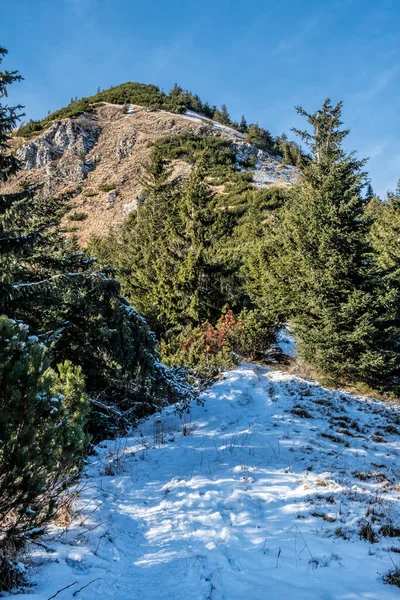 Borisov Hill Big Fatra Mountains Slovak Republic Snowy Landscape Seasonal — Stock Photo, Image
