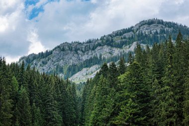 Ohniste Rock Massif, Low Tatras Dağları, Slovak Cumhuriyeti. Yürüyüş teması. Mevsimsel doğal sahne.