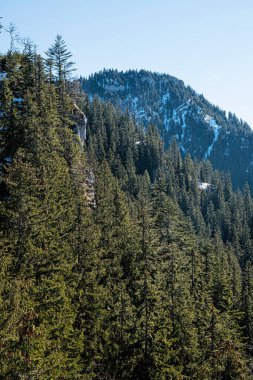 Poludnica tepesi, Low Tatras dağları, Slovak cumhuriyeti. Yürüyüş teması. Mevsimsel doğal sahne.