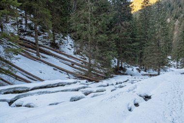 Ilanovska vadisi, Low Tatras dağları, Slovak cumhuriyeti. Yürüyüş teması. Mevsimsel doğal sahne.