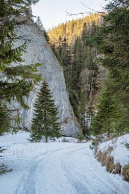 Ilanovska vadisi, Low Tatras dağları, Slovak cumhuriyeti. Yürüyüş teması. Mevsimsel doğal sahne.