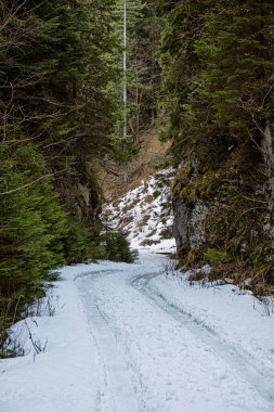 Ilanovska vadisi, Low Tatras dağları, Slovak cumhuriyeti. Yürüyüş teması. Mevsimsel doğal sahne.