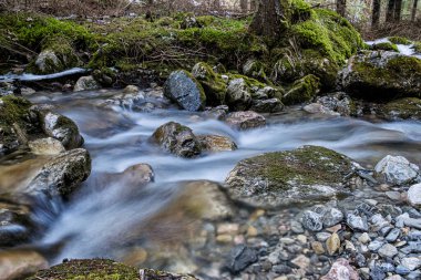 Su akıntısı, Ilanovska vadisi, Low Tatras, Slovak cumhuriyeti. Yürüyüş teması. Mevsimsel doğal sahne.
