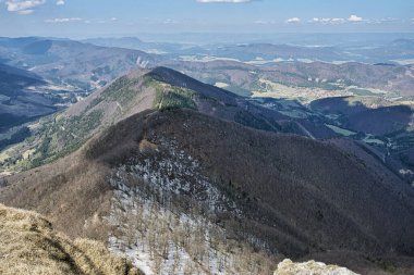 Klak Hill, Slovak Cumhuriyeti 'nden karlı yerleri olan yaprak döken bir orman. İlkbahar doğal sahnesi.