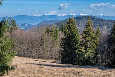Büyük Fatra Dağları 'ndan küçük Fatra, Slovak Cumhuriyeti. Yürüyüş teması. Mevsimsel doğal sahne.
