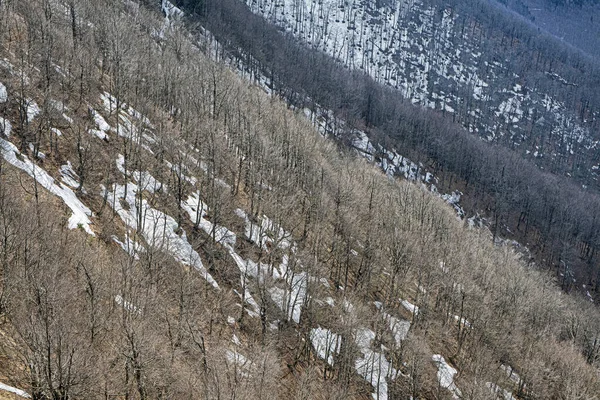 Laubwald Mit Verschneiten Orten Klak Hügel Slowakische Republik Naturszenerie Frühling — Stockfoto