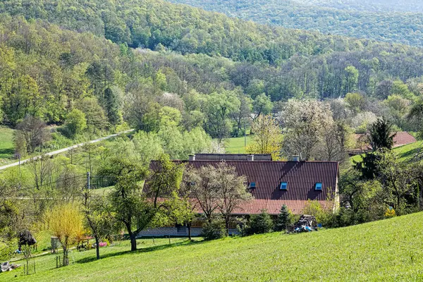 stock image View from Cachtice castle ruins. Slovak landscape with forests, meadows and fields. Travel destination.