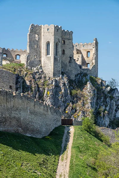 Beckov城遺跡 スロバキア共和国 ヨーロッパ 目的地へ 垂直構成 — ストック写真