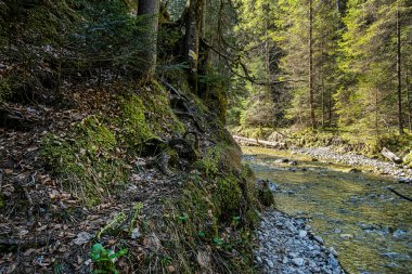Chmarossky viyadük Slovakya 'nın en güzel demiryolu hatlarından birinde Cervena Skala Margecany.