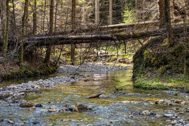 Chmarossky viyadük Slovakya 'nın en güzel demiryolu hatlarından birinde Cervena Skala Margecany.