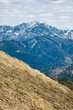 Rakytov Tepesi, Büyük Fatra Dağları, Slovakya Cumhuriyeti. Mevsimsel doğal sahne. Yürüyüş teması.