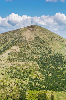 Stoh Hill, Küçük Fatra, Slovakya Cumhuriyeti. Yürüyüş teması. Mevsimsel doğal sahne.