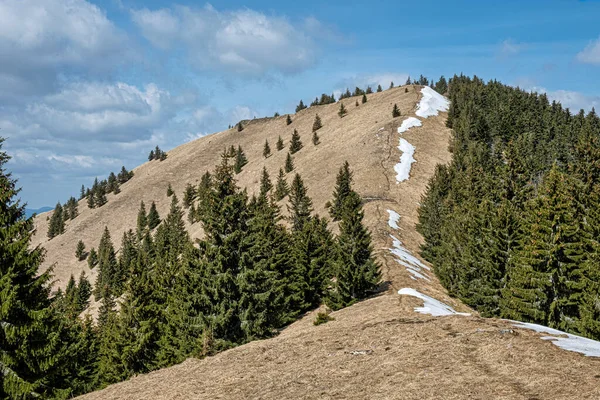 斯洛伐克共和国大Fatra山Lysec山 季节性的自然景观 旅行目的地 远足主题 — 图库照片