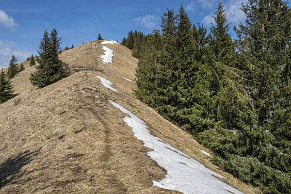 Lysec Hill 파트라 슬로바키아 공화국 눈덮인 계절적 목적지 — 스톡 사진