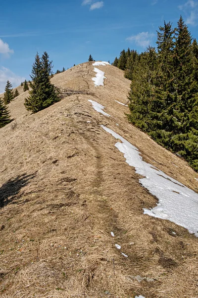 Lysec Hill Big Fatra Mountains Slovenská Republika Sněžná Krajina Sezónní — Stock fotografie