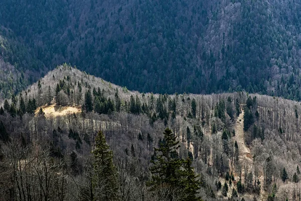 Grandes Montanhas Fatra Lysec Hill República Eslovaca Cena Natural Sazonal — Fotografia de Stock