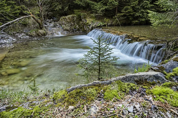 Flowing Creek Velky Sokol Gorge Slovenský Ráj Sezónní Přírodní Scéna — Stock fotografie