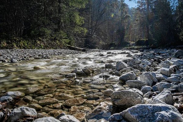 Flowing Creek Velky Sokol Wąwóz Słowacki Raj Park Narodowy Sezonowa — Zdjęcie stockowe