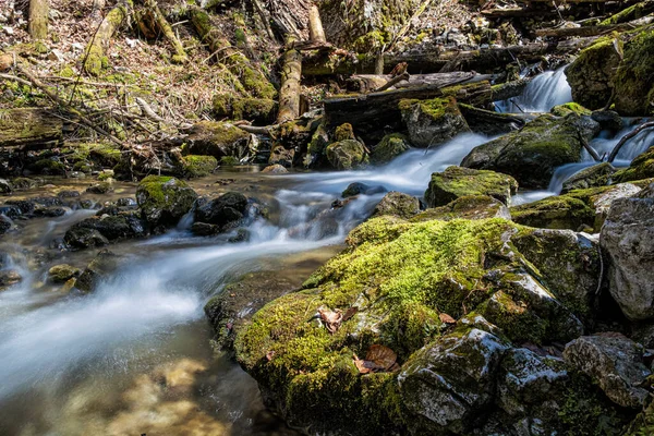 Flowing Creek Velky Sokol Gorge Slovenský Ráj Sezónní Přírodní Scéna — Stock fotografie