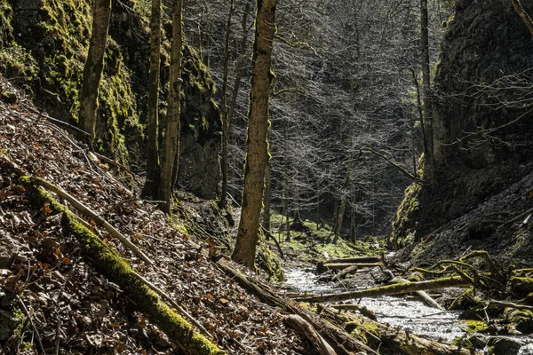 Chmarossky Viaduct Een Van Mooiste Spoorlijnen Slowakije Cervena Skala Marge — Stockfoto