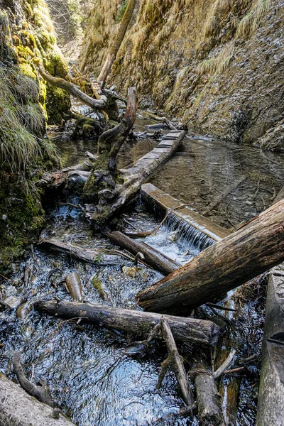 Ущелье Велки Сокол Национальный Парк Словацкий Рай Сезонная Природная Сцена — стоковое фото