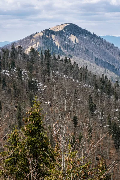 Lysec Hill Big Fatra Mountains Slovenská Republika Sezónní Přírodní Scéna — Stock fotografie