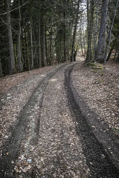 Caminho Turístico Nas Montanhas Big Fatra República Eslovaca Cena Natural — Fotografia de Stock