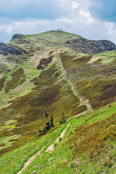 Turistas Colina Chleb Little Fatra República Eslovaca Tema Das Caminhadas — Fotografia de Stock