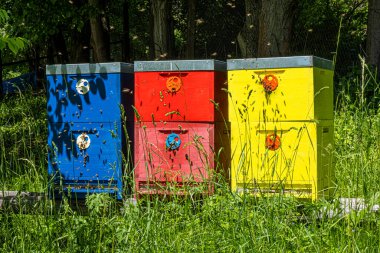 Slovak Cumhuriyeti 'nin Stara Lubovna kasabasında arı kovanı var. Arıcılık teması.