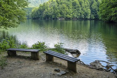 Morske Oko Gölü, Vihorlat Dağları, Doğu Slovakya Cumhuriyeti. Mevsimsel doğal sahne.