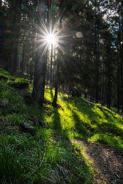 Batı Tatras Dağlarında Güneş Işığı Slovakya Cumhuriyeti Yürüyüş Teması Mevsimsel — Stok fotoğraf