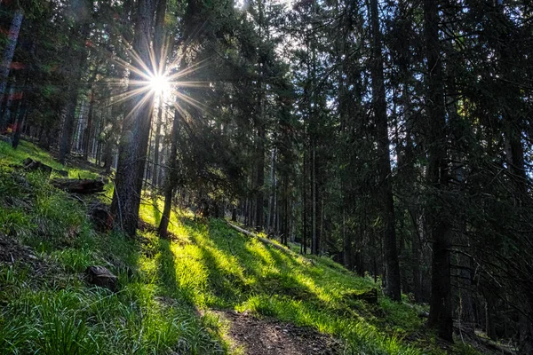 Batı Tatras Dağlarında Güneş Işığı Slovakya Cumhuriyeti Yürüyüş Teması Mevsimsel — Stok fotoğraf