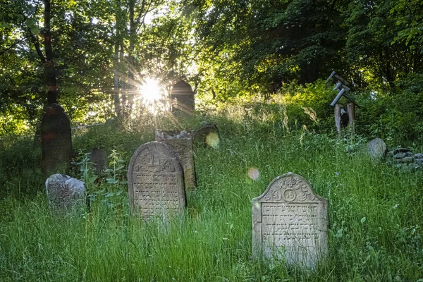 Cemitério Judaico Com Raios Sol Aldeia Topola República Eslovaca Europa — Fotografia de Stock