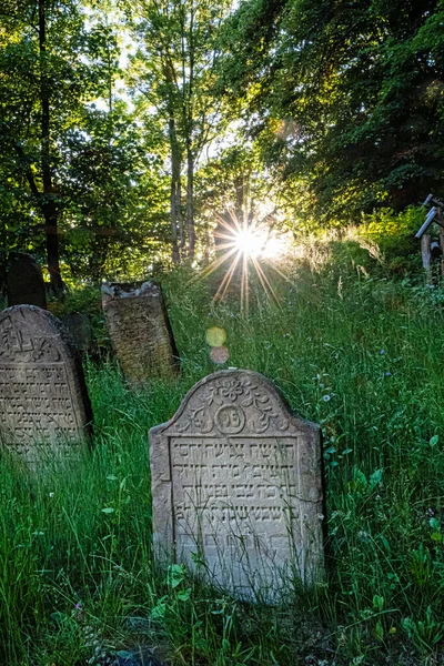 Cemitério Judaico Com Raios Sol Aldeia Topola República Eslovaca Europa — Fotografia de Stock