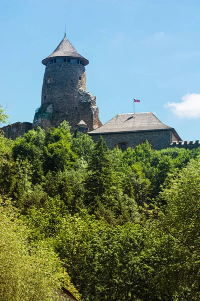 Ruines Château Stara Lubovna République Slovaque Europe Destination Voyage — Photo
