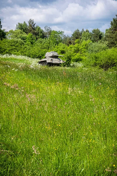 Histórico Tanque Ruso T34 Valle Muerte Cerca Aldea Kapisova República — Foto de Stock